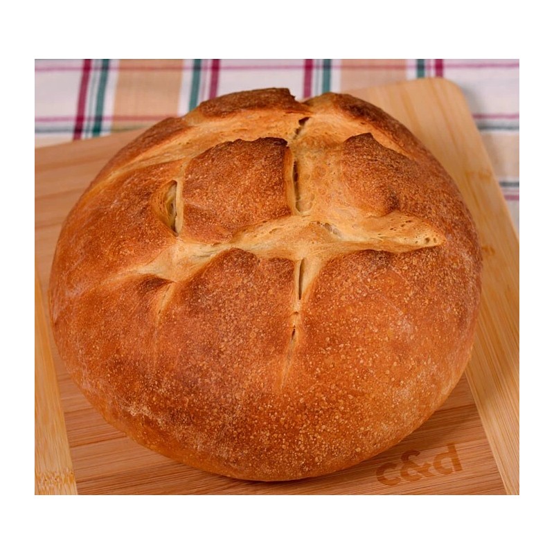 Heritage Sourdough DEHYDRATED SOURDOUGH STARTER 100+ Yrs old SOUR FRONTIER