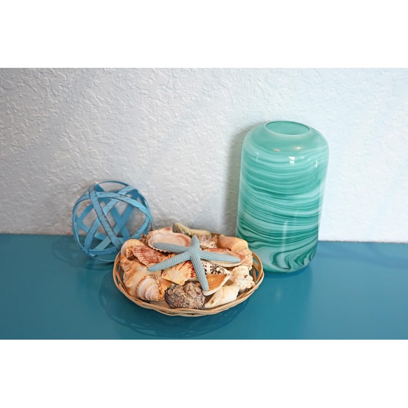Beautiful Mixed Shell Basket - Basket of Shells - Starfish