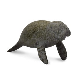 Collcta マナティ仔