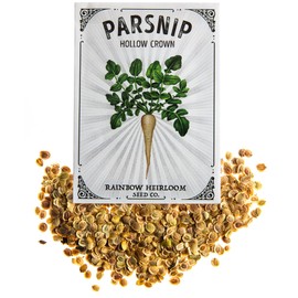 Parsnip Seeds for Planting | Hollow Crown Variety (3g Packet - Approx 530 Seeds) | Non-GMO & Heirloom Seeds | Illustrated Seed Packet with Growing Instructions by Rainbow Heirloom Seed Co.
