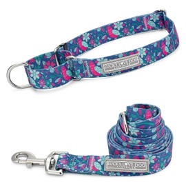 Lucky Love Dog, Whimsical Bird Martingale Dog Collar and Leash Set, Vivid Pink, Mint, Blue Flowers Medium No Slip Dog Collar - (M, Carriebelle Mart - Combo)