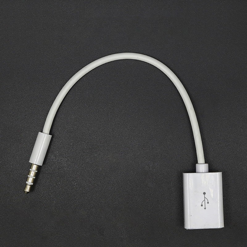 HYROOY 3.5mm Male to USB Female Converter Cable for Car