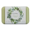 Mistral Triple Milled Organic Olive Oil and Shea Butter Bar