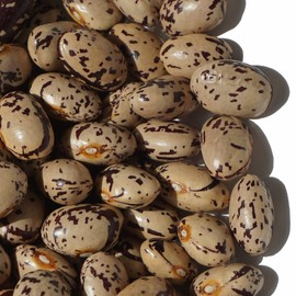 Hokkaido Medium Long Quail Beans, Ingen-Beans, Ingen-beans, Quail, Vegetable Beans, Three Beans, Pinto Bean, Medium Length Quail Beans, 7.1 oz (200 g), Quail Beans, Quail Beans, Quail Beans