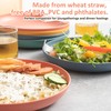 PTNITWO 8.8 Inch Wheat Straw Plates,8 PACK Unbreakable Dinner Plates,Reusable