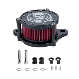 Aferrizu Motorcycle Air Cleaner Filter Kit CNC Compatible with Harley Sportster Iron 883 Dark Custom XL883 1998-2017, for XL1200 XL1200L XL1200X Forty Eight 2004-2016