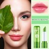 Set De 4 Labiales De Aloe Vera, Brillo Labial Mágico