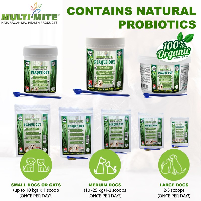 PLAQUE OUT 100G Pot Tartar Plaque Off Remover,100% Natural &