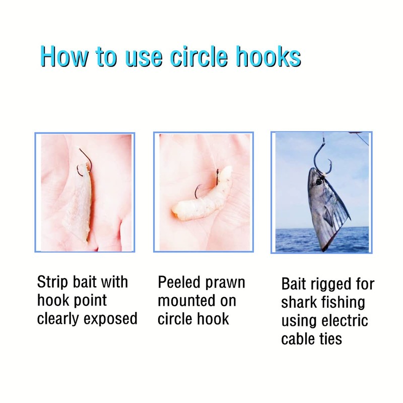 Circle Fishing Hooks for Catfish Hooks Saltwater 50pcs of 7/0