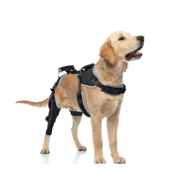 LISPOO Dog Knee Brace for Hind Leg Support Ideal for