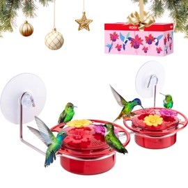 iBorn Window Hummingbird Feeder Hummingbird Feeder with Strong Suction Cup Mini Humming Bird Feeders for Outdoors, Bee-Proof Feeding Ports & Stainless Steel Base, 3oz, 2025 New