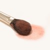 THE TOOL LAB 157 Light Touch Blusher Brush - THE