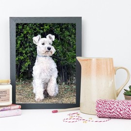 DIY 5D Diamond Painting Kits for Adults by Number Schnauzer Cute Pet Dog Animal, Full Drill Diamond Art Picture with HD Embroidery Canvas for Home Wall Decoration 30x40cm