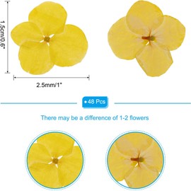 PATIKIL Flores Prensada Seca, 48 Unidades para Manualidades de Resina, Arte de Uñas, Tarjetas, Scrapbooking, Fabricación de Joyas, Decoración Floresal, Amarillo