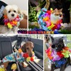 Dog Pool Float, Funny 6-in-1 Inflatable Dog Floats for Pool,