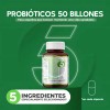 120 Cápsulas Probióticos 50 Billones Prebióticos Enzimas Sabor 120 cápsulas
