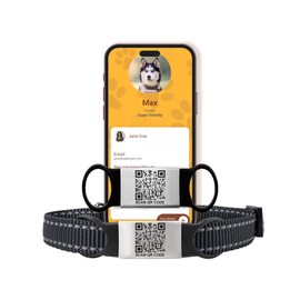 Smart Slide-On QR Code Pet Tag – Silent Dog & Cat ID Tag with Laser Engraving – Stainless Steel & Silicone – No App Needed – Custom Pet Profile – Fits Most Collars (Black, Extra Large)