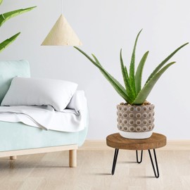 OBTAIN OBTAIN Plant Stand Indoor Outdoor, Wooden plant Stool, Mid Century Plant Stand for Indoor Plants, Wood Modern Plant Holder Rattan Flower, Low Short Boho Rustic Planter Stand Fit 5-15 Inch Pot(M)