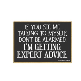 Honey Dew Gifts, If You See Me Talking to Myself I'm Getting Expert Advice, 2.5 Inch by 3.5 Inch, Made in USA, Refrigerator Magnets, Decorative Fridge Magnets, 754030