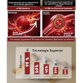 Vitamina B12 Liposomal Líquida | 5x veces mayor Absorción | Desarrollado por la Dra. Friné Velázquez | con Gotero - perfecto para Niños y Adultos | Di