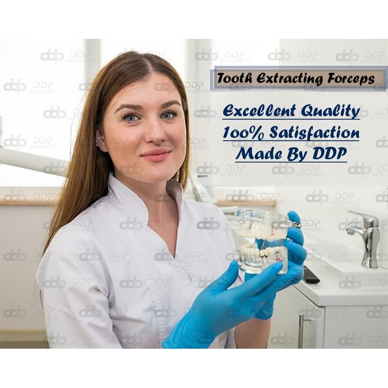 DDP EXTRACTING Forceps MD2 Upper 1ST 2ND and 3RD MOLARS