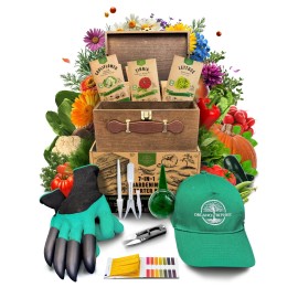 Organo Republic 75 Medicinal & Tea Herb Seeds 75 Seeds, Green, Red, Purple, Yellow