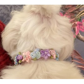 Dressed to the Canines Flower rhinestone Cute Luxury Dog Collar Pink blue lavender hair bow new