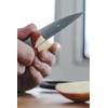 DURA LIVING 3.5 Inch Paring Knife – Essential High Carbon