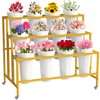 VGMiu Flower Display Stand with 12 Buckets, Flower Cart Gold