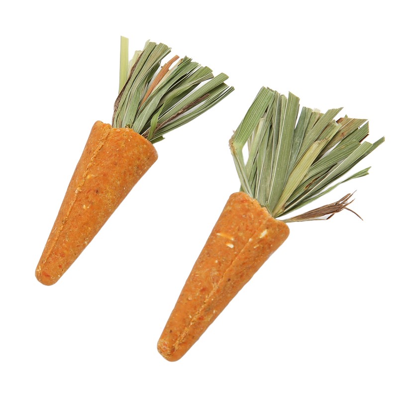 20pcs Carrot Shaped Hamster Toy Teeth Grinding Decorative Crude Fiber