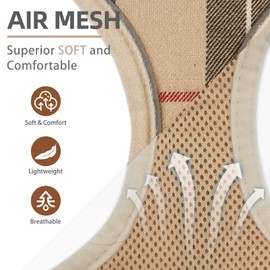 PUPTECK Soft Mesh Dog Harness and Leash Set Pet Puppy Cat Adjustable Reflective Padded Vest No Pull Harnesses, Beige, M