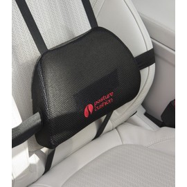 Posture Cushion Mini Lumbar Support Cushion With High Density Foam and Multiple Strapping