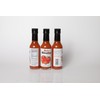 Salsa Sinaloa Gourmet Hot Sauce set of 3 (3 Bottles)