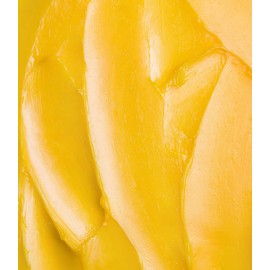 Tropic Skincare Ltd. LIP LOVE nourishing balm