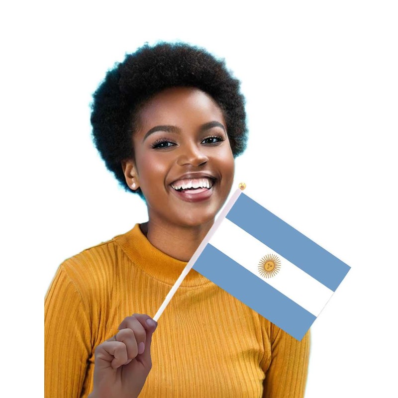 25 Packs Small Argentina Flags on Handheld Stick，Miniature Argentine Flag