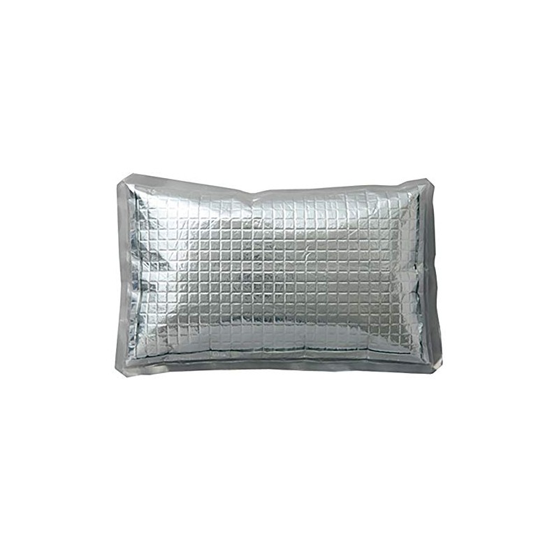 AITOZ AZ865933 101 Silver F Ice Packs, Set of 4,