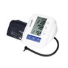 Microlife Micro Life Forearm Blood Pressure Monitor BP3BM1-3 / 마이크로라이프 마이크로 라이프 팔뚝형 혈압계 BP3BM1-3