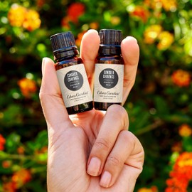 Edens Garden Conquer Cravings Essential Oil Blend- 100% Pure Premium Grade, Undiluted, Natural, Therapeutic, Aromatherapy, The Best for Diffusing, Skin, Humidifiers, Kid Safe 10 ml (.33 fl oz)