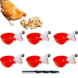 6 Packs Large Automatic Chicken Waterer Cups Chicken Water Cups for PVC with Tee Automatic Chicken Waterer Kit for Poultry Chicks Duck Goose Bird Turkey and Bunny with Mounting Hole Opener (Style 1)