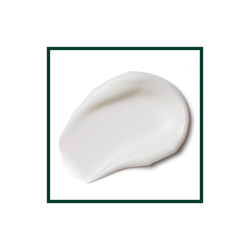 Aveda Nutriplenish Masque Light Mascarilla hidratante | Supernutrientes