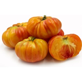 Home grown LARGE Rainbow Beefsteak Tomato HEIRLOOM 30+ seeds PREMIUM strain 100% Organic