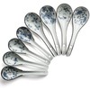Chinese Soup Spoons Set of 8 Ceramic Spoons for Ramen