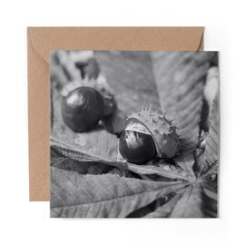 1 x Greeting Card BW - Conker Horse Chestnut Tree - Blank Birthday Celebration Anniversary #38083