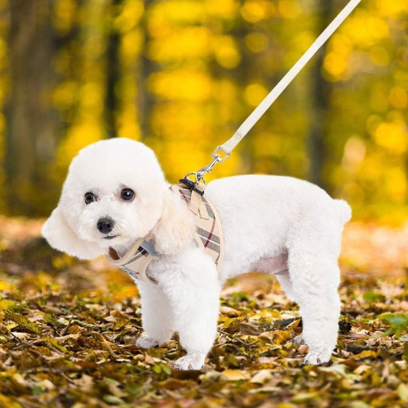 Dog Harness, Collar, Lead Set, Leash Set, Chest Harness, Check