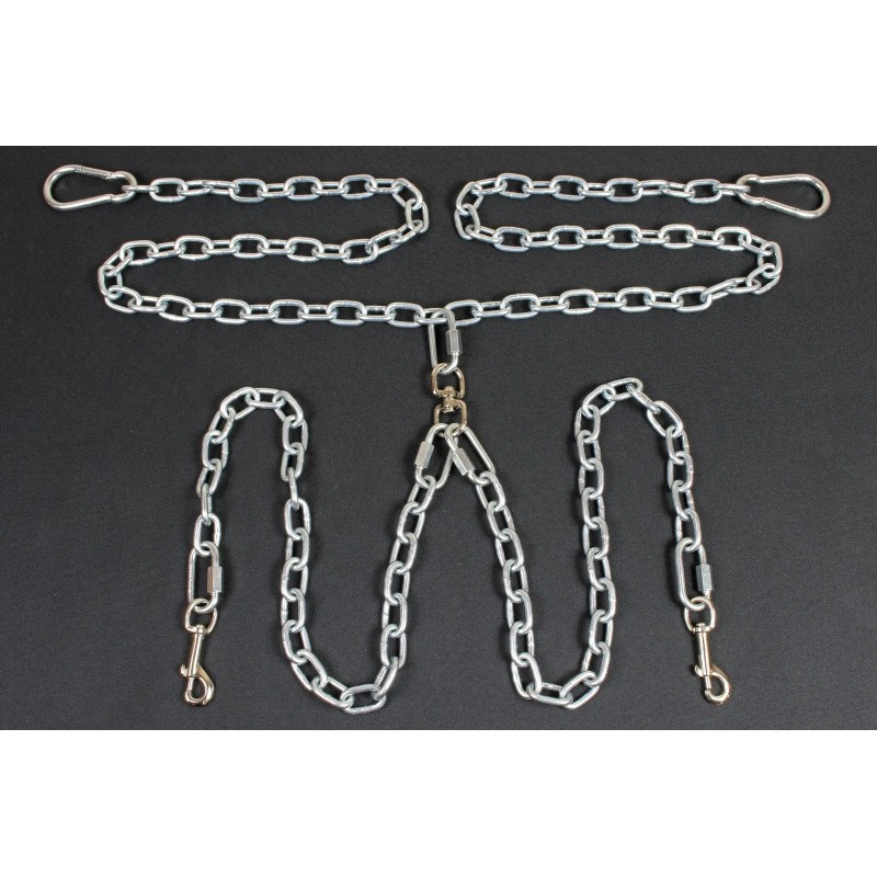 Bushwhacker Chew Proof Truck Bed Two Dog Tether Leash SUV