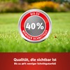 Wolf LP 10 Premium for 10 m²