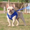 BOBOSP Dog Harness Anti-Pull Reflective Breathable Blue M