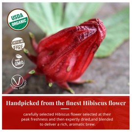 Hibiscus Flower Tea- 75 Hibiscus Tea Bags Organic, 100% Pure Hibiscus Flower. Te De Jamaica Organico-Perfect for Hot or Iced Tea- Sugar Free, Caffeine Free Pack of 3.