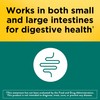 Nature Made Nature Made Digestive Probiotics Advanced Dual Action, Probiotics