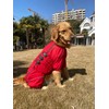 Dogs Waterproof Jacket, Lightweight Waterproof Jacket Reflective Safety Dog Raincoat